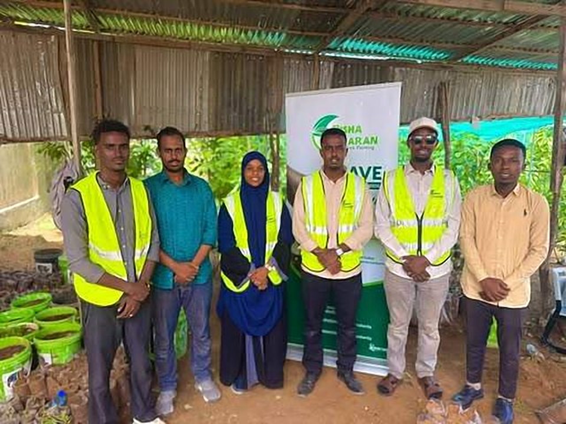 Environmental campaigns and tree planting